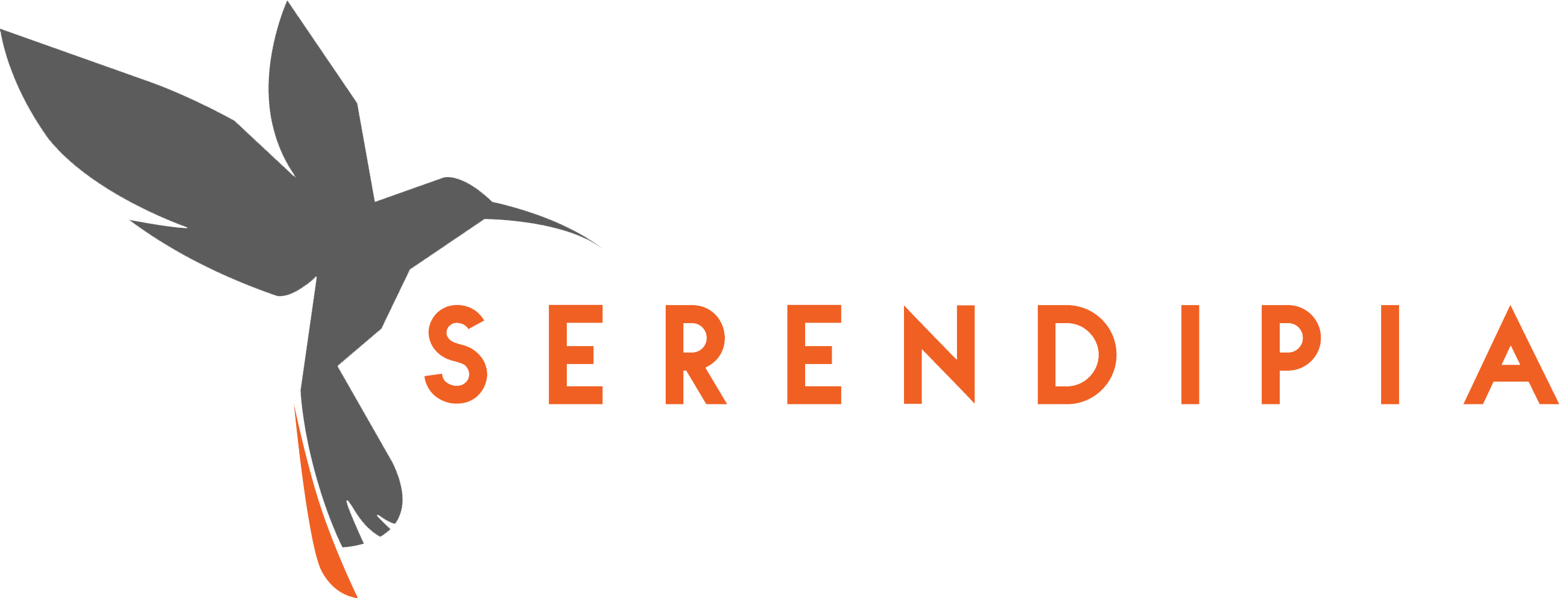 SERENDIPIA DISEÑO